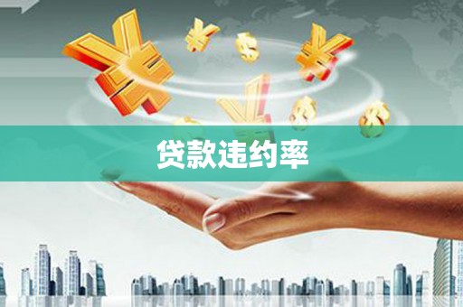 子洲贷款违约率