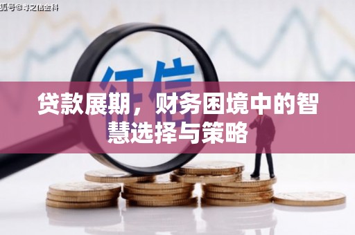 湖内贷款展期，财务困境中的智慧选择与策略