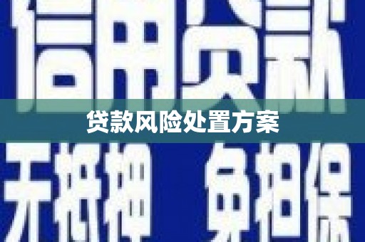 杭锦后旗贷款风险处置方案