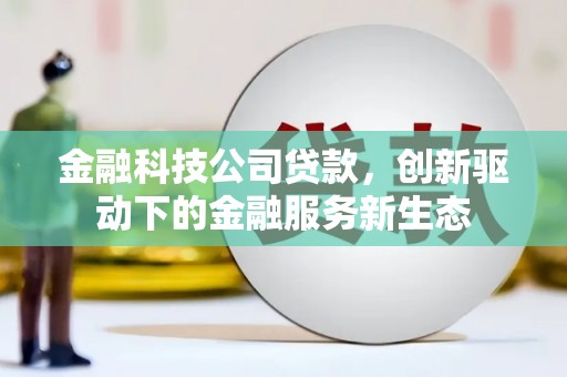 新洲金融科技公司贷款，创新驱动下的金融服务新生态