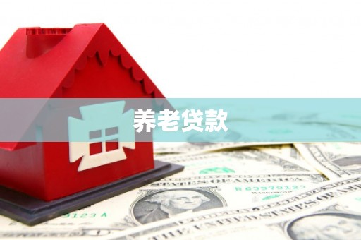 驻马店养老贷款