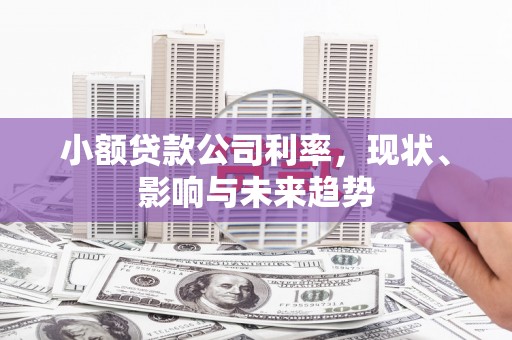 南宫小额贷款公司利率，现状、影响与未来趋势