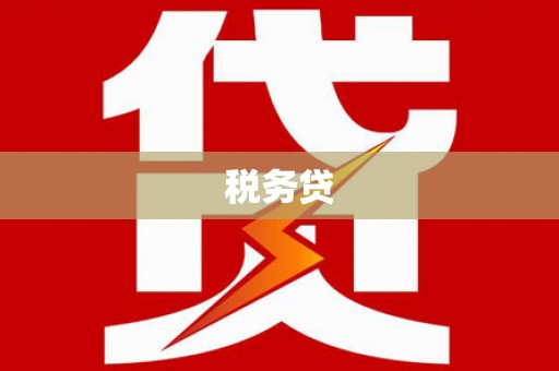 镇原税务贷