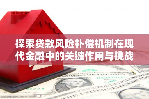 博湖探索贷款风险补偿机制在现代金融中的关键作用与挑战