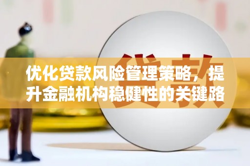 花山优化贷款风险管理策略，提升金融机构稳健性的关键路径