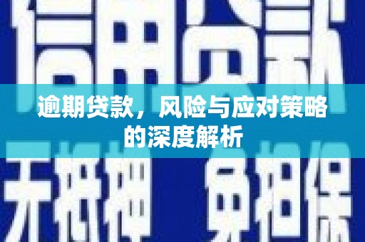 虾峙逾期贷款，风险与应对策略的深度解析