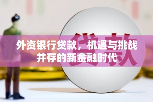 广东外资银行贷款，机遇与挑战并存的新金融时代