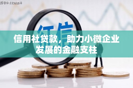 嘉祥信用社贷款，助力小微企业发展的金融支柱