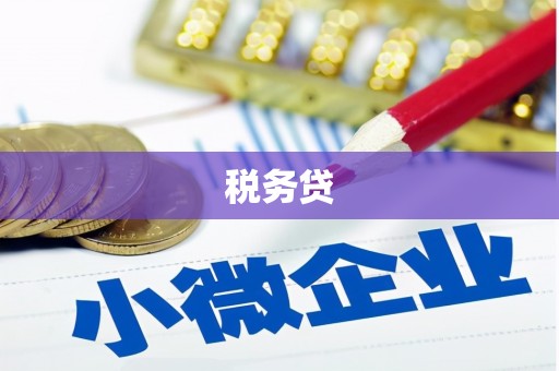 横栏税务贷