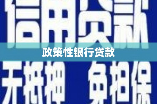永胜政策性银行贷款
