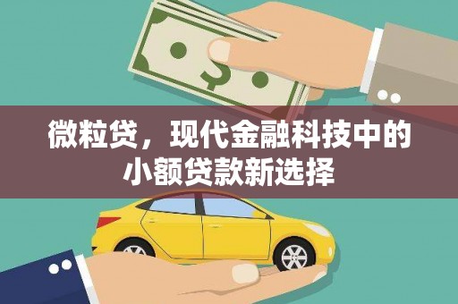 秀林微粒贷，现代金融科技中的小额贷款新选择
