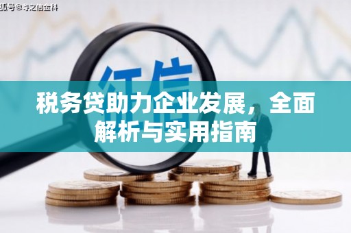 红岗税务贷助力企业发展，全面解析与实用指南