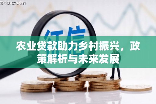 新田农业贷款助力乡村振兴，政策解析与未来发展