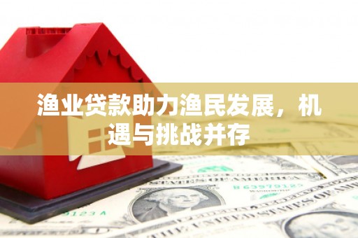 芦淞渔业贷款助力渔民发展，机遇与挑战并存