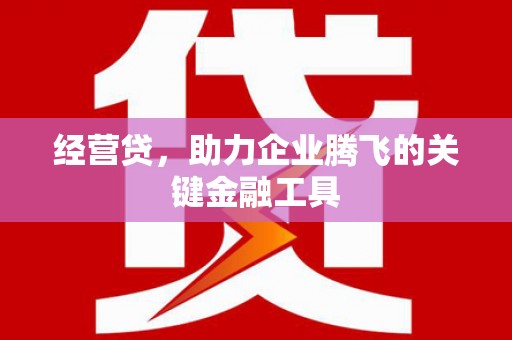 桐乡经营贷，助力企业腾飞的关键金融工具