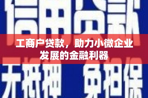 天宁工商户贷款，助力小微企业发展的金融利器