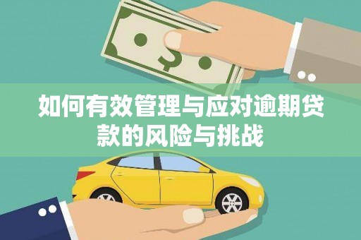 姚安如何有效管理与应对逾期贷款的风险与挑战