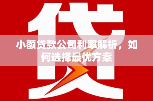 孝感小额贷款公司利率解析，如何选择最优方案