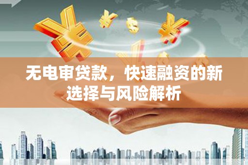葫芦岛无电审贷款，快速融资的新选择与风险解析