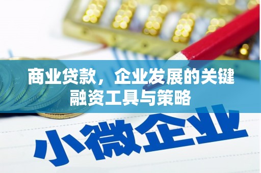 民雄商业贷款，企业发展的关键融资工具与策略