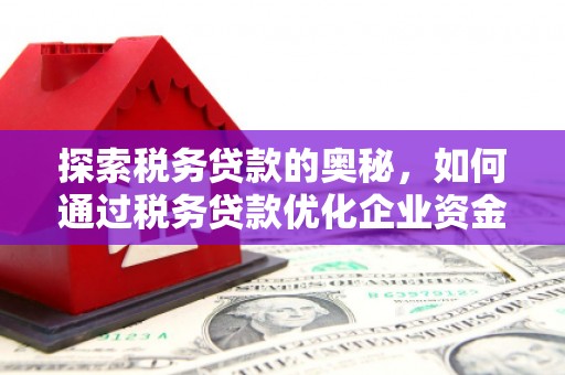 汉川探索税务贷款的奥秘，如何通过税务贷款优化企业资金流