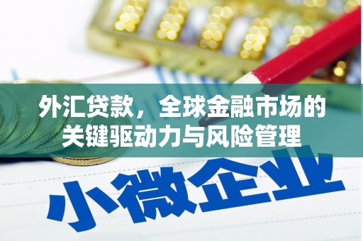 宁武外汇贷款，全球金融市场的关键驱动力与风险管理
