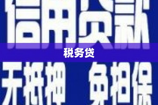 康马税务贷