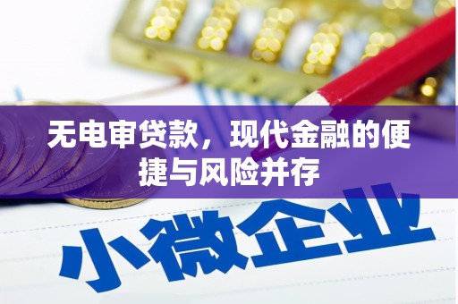 贞丰无电审贷款，现代金融的便捷与风险并存