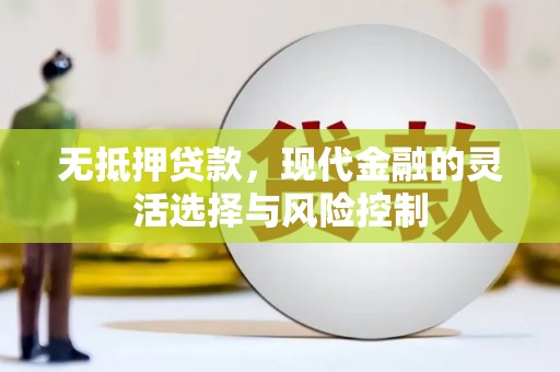 龙口无抵押贷款，现代金融的灵活选择与风险控制