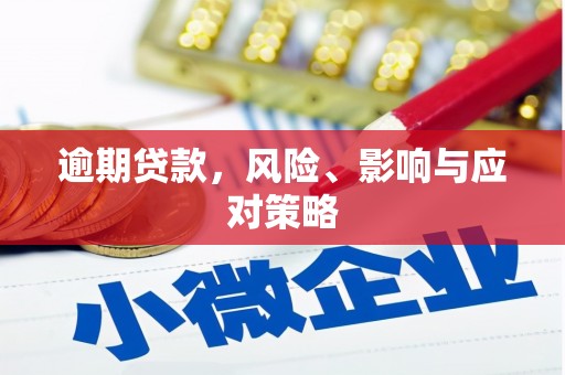 赤坎逾期贷款，风险、影响与应对策略