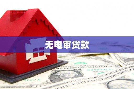徐闻无电审贷款