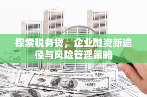 漳县探索税务贷，企业融资新途径与风险管理策略