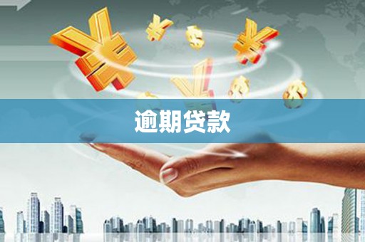 宜章逾期贷款