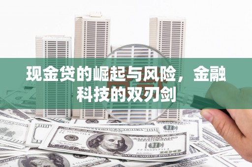 延平现金贷的崛起与风险，金融科技的双刃剑