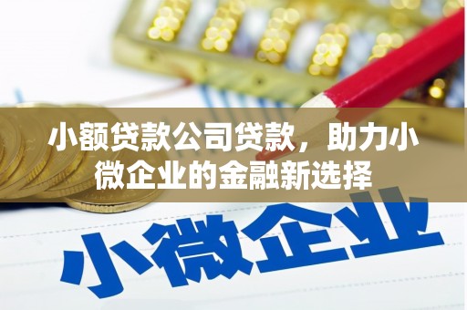 洛扎小额贷款公司贷款，助力小微企业的金融新选择
