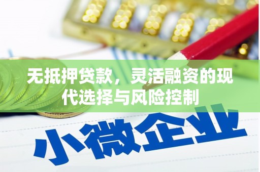 泰来无抵押贷款，灵活融资的现代选择与风险控制