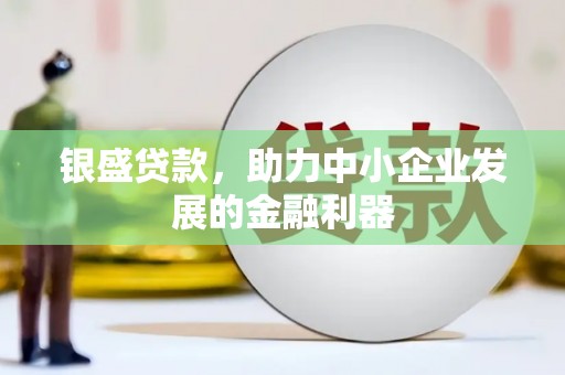 高要银盛贷款，助力中小企业发展的金融利器