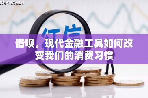 海盐借呗，现代金融工具如何改变我们的消费习惯