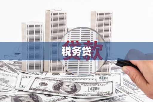 开江税务贷
