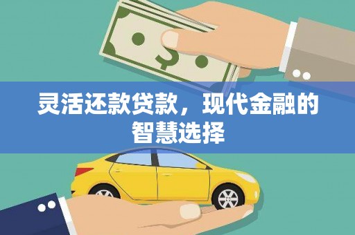 岱山灵活还款贷款，现代金融的智慧选择