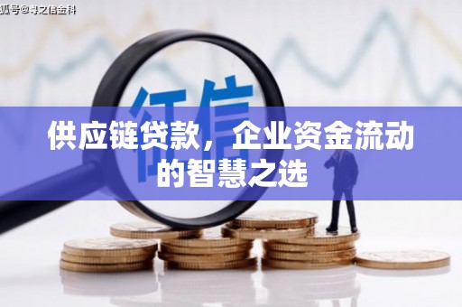 瑞穗供应链贷款，企业资金流动的智慧之选