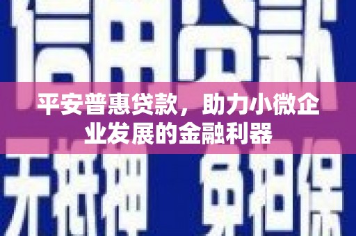 山上平安普惠贷款，助力小微企业发展的金融利器