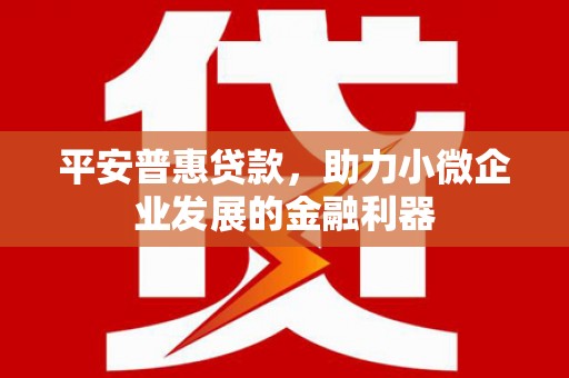 巨野平安普惠贷款，助力小微企业发展的金融利器