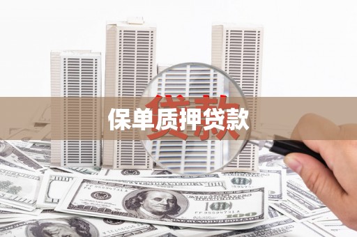 南海保单质押贷款