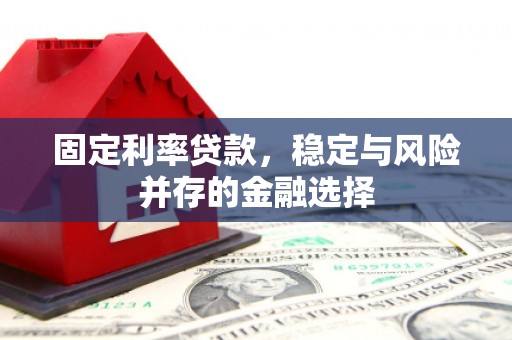 项城固定利率贷款，稳定与风险并存的金融选择