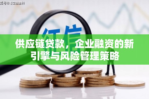 茂林供应链贷款，企业融资的新引擎与风险管理策略