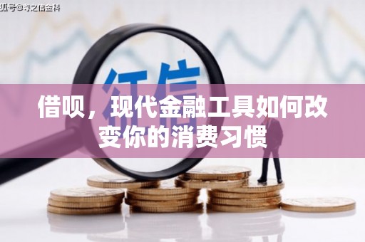 南城借呗，现代金融工具如何改变你的消费习惯