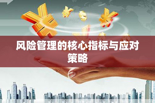 吴中风险管理的核心指标与应对策略