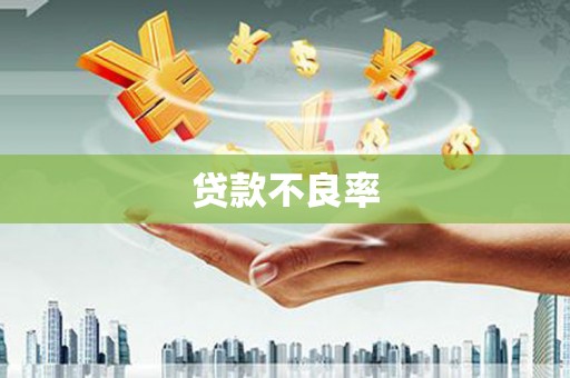灵川贷款不良率