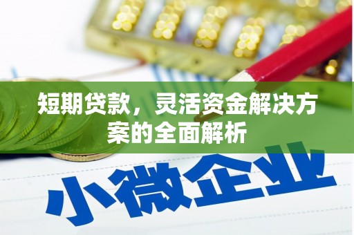 泸西短期贷款，灵活资金解决方案的全面解析